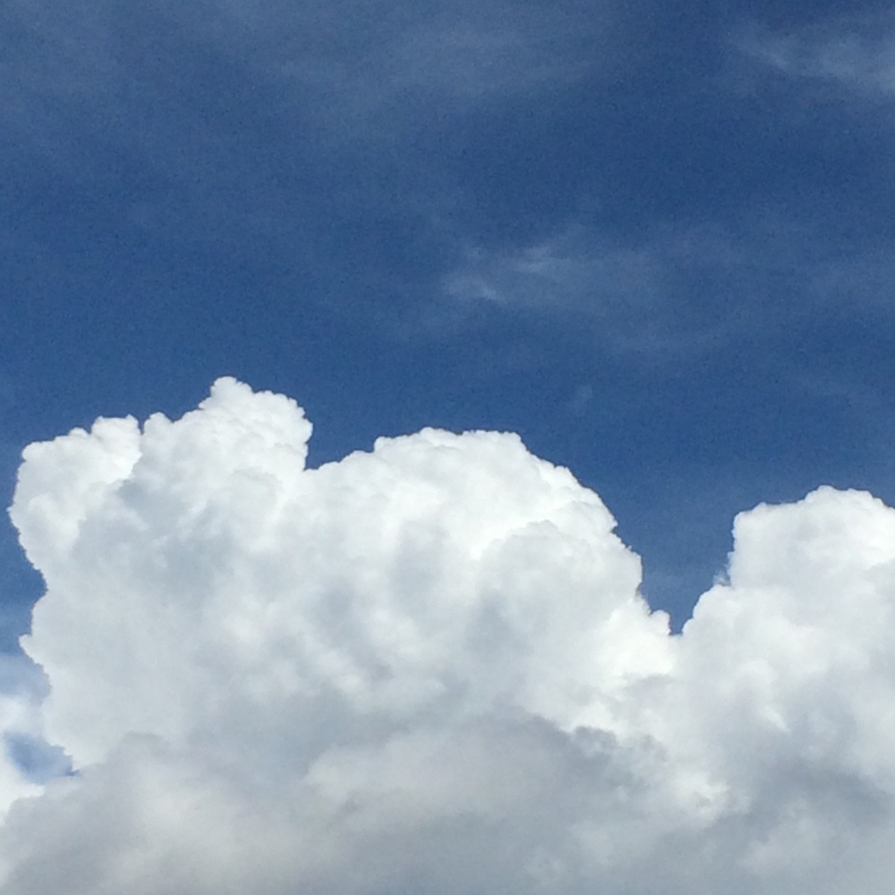 Archillect ID 404118