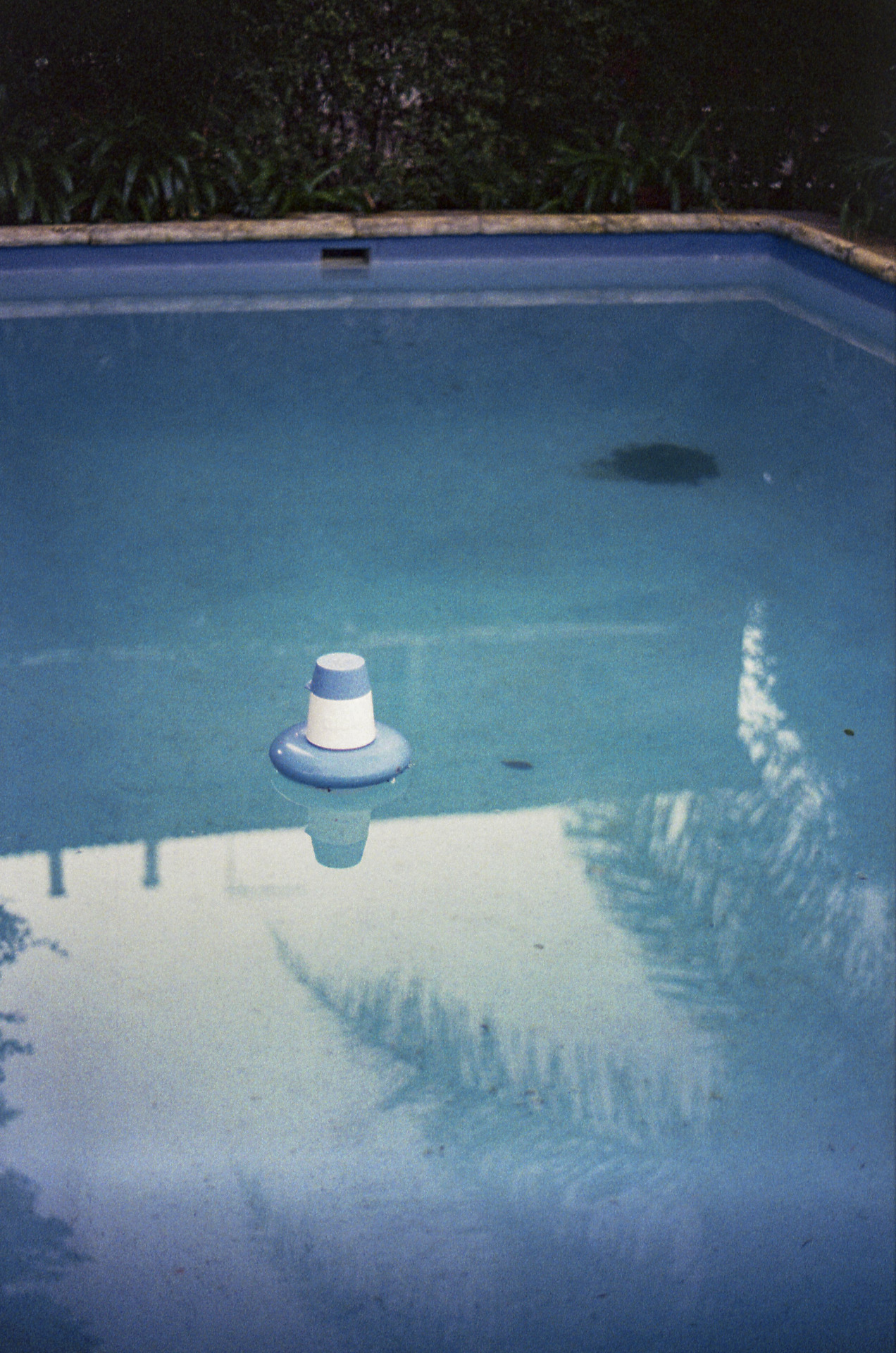 Archillect ID 404211