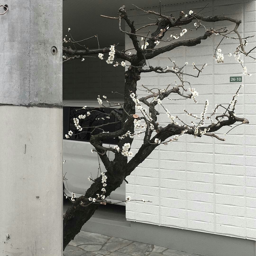 Archillect ID 404213