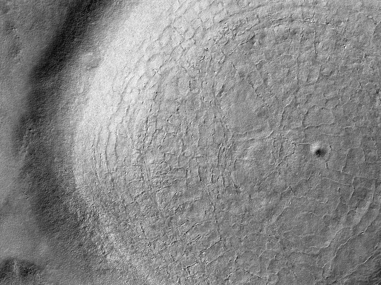 Archillect ID 404254