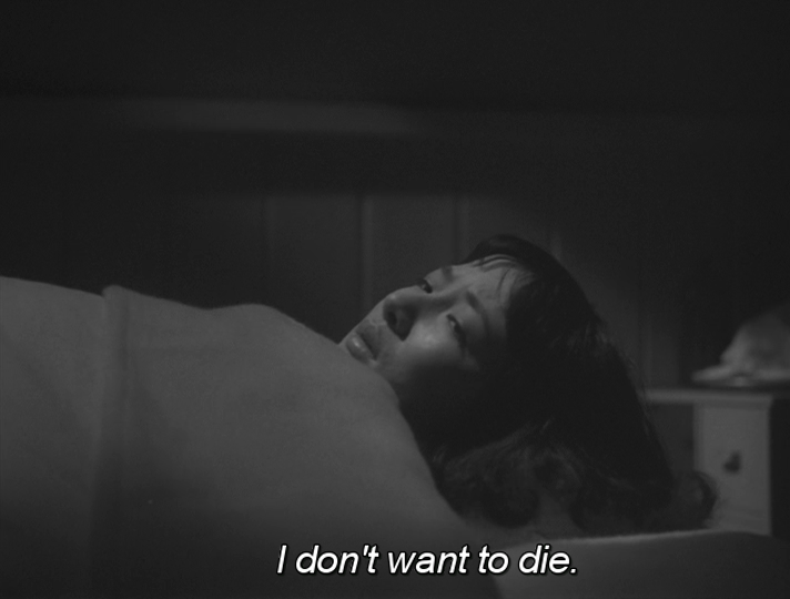 Archillect ID 404262