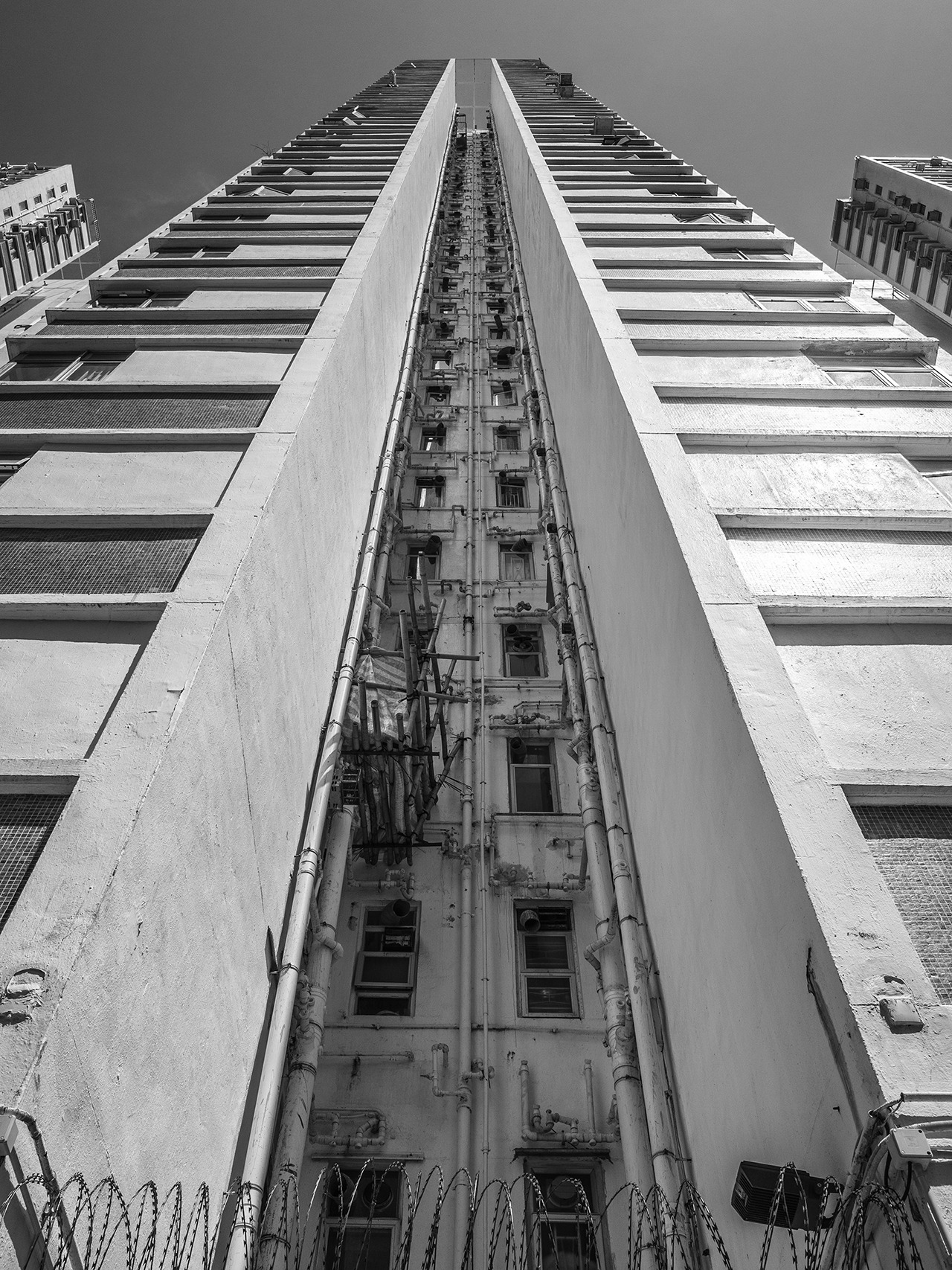 Archillect ID 404281