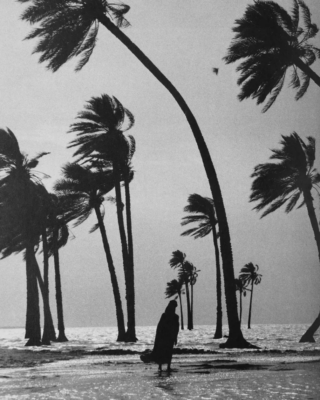 Archillect ID 404316