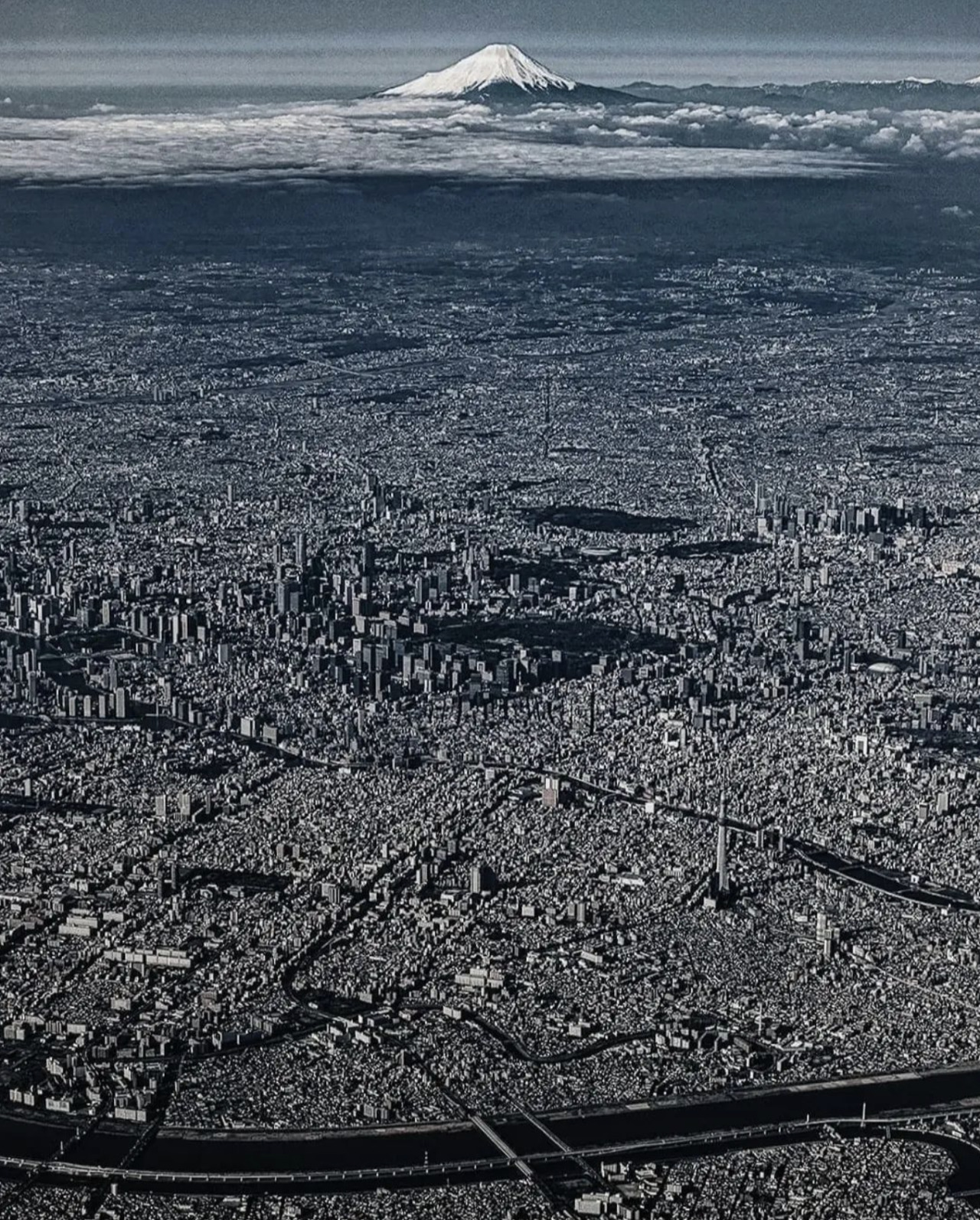 Archillect ID 404342