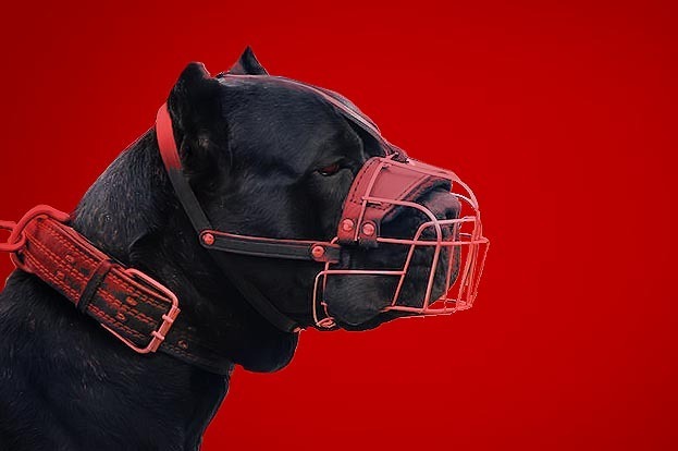 Archillect ID 404361