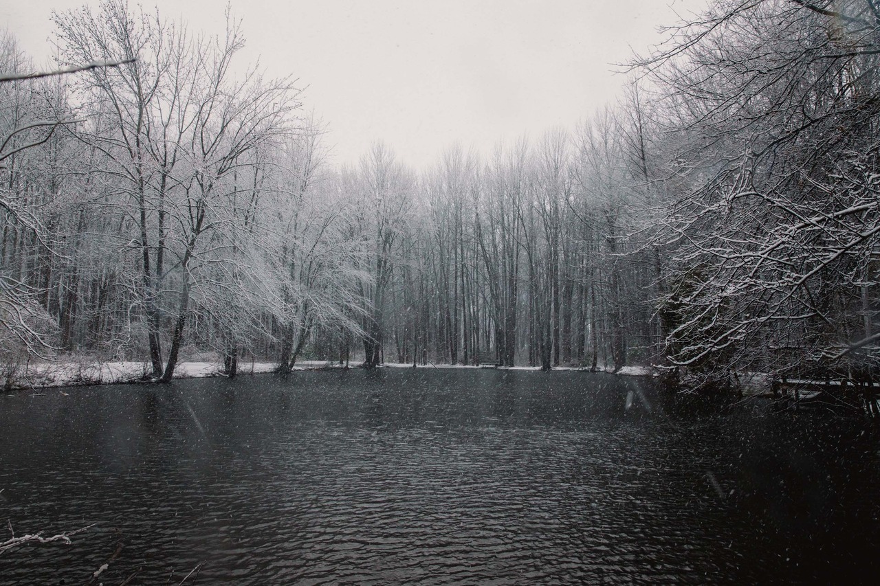 Archillect ID 404378