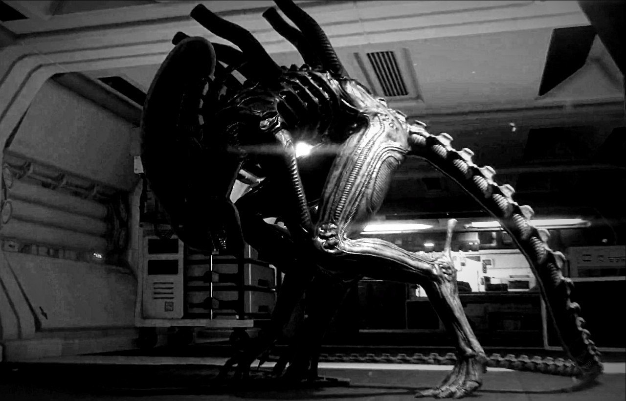 Archillect ID 404403