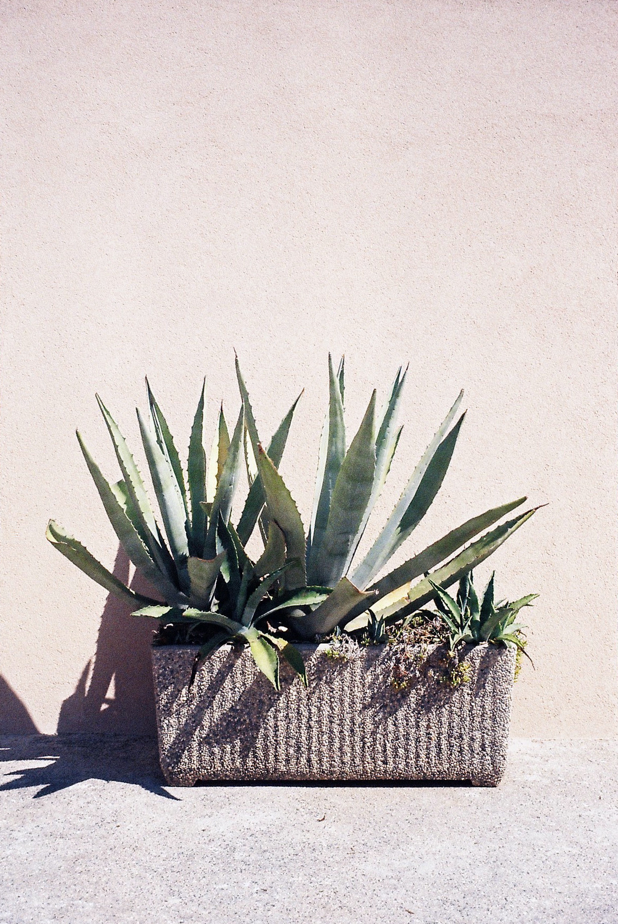 Archillect ID 404467