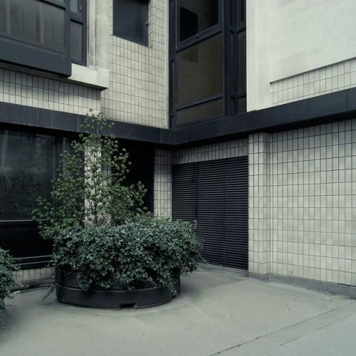 Archillect ID 404481