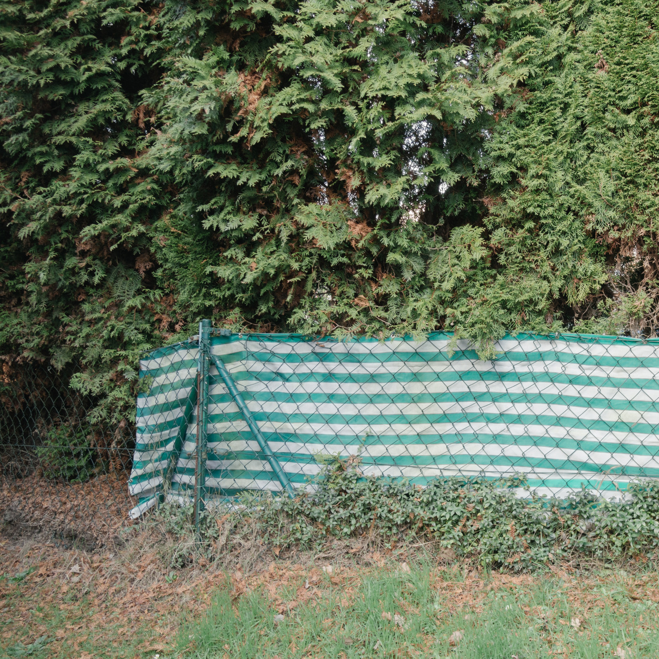 Archillect ID 404522