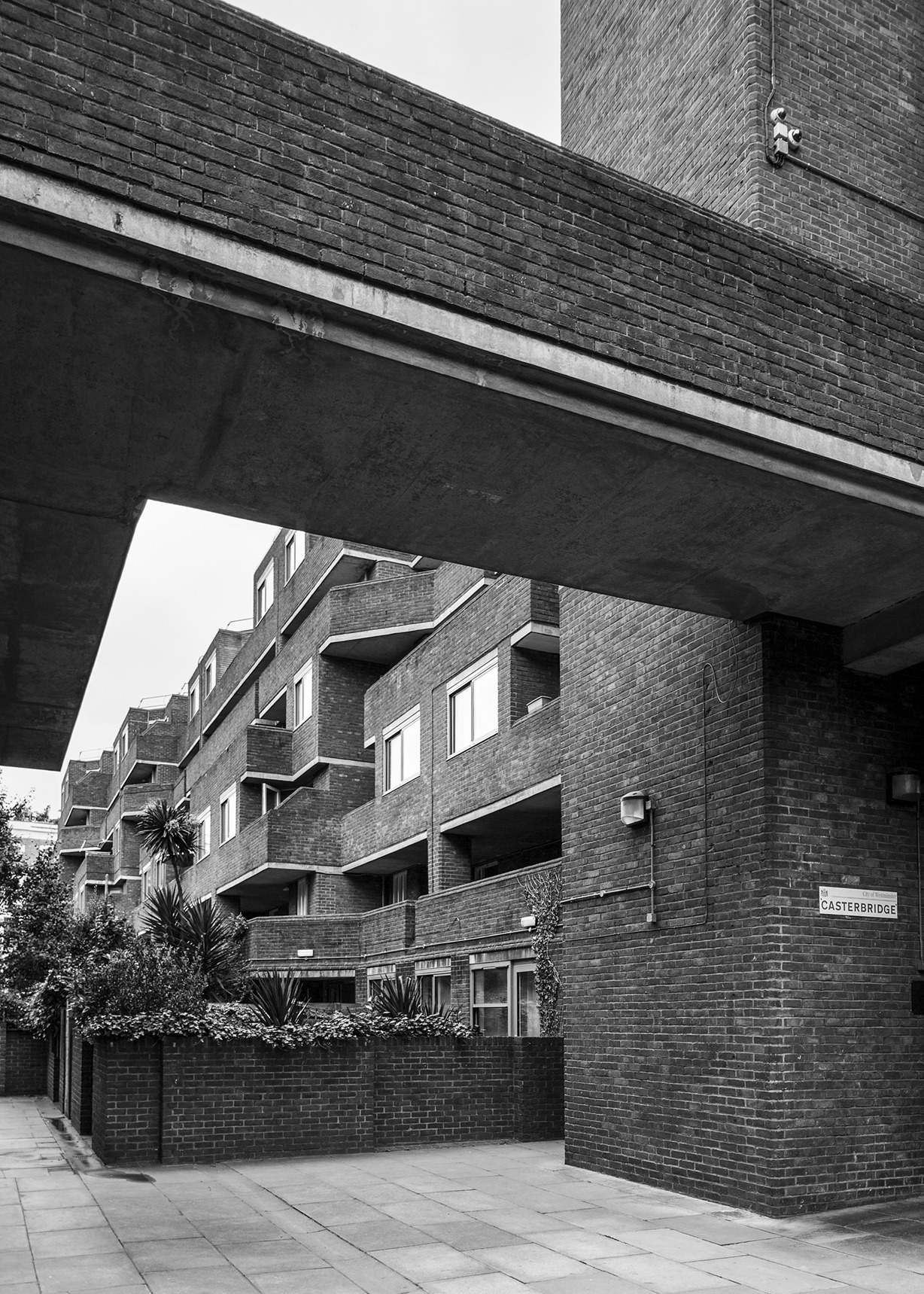 Archillect ID 404551