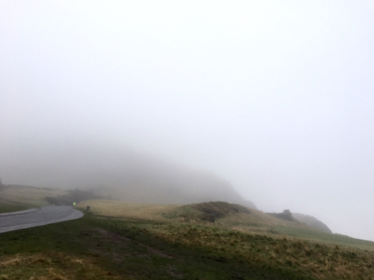 Archillect ID 404555