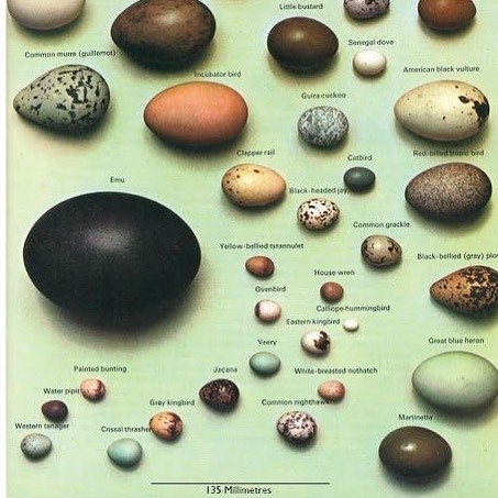 Archillect ID 404564