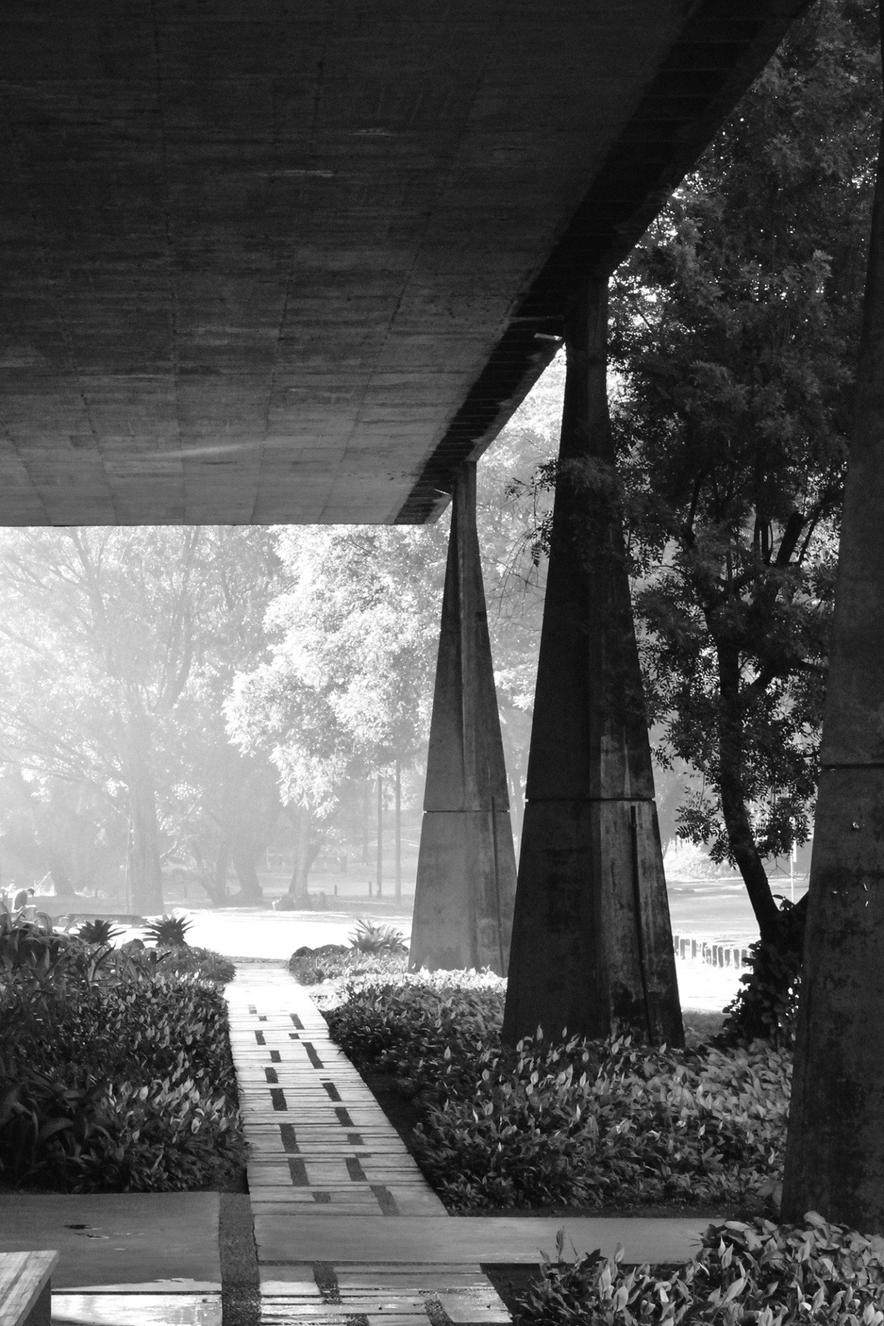 Archillect ID 404570