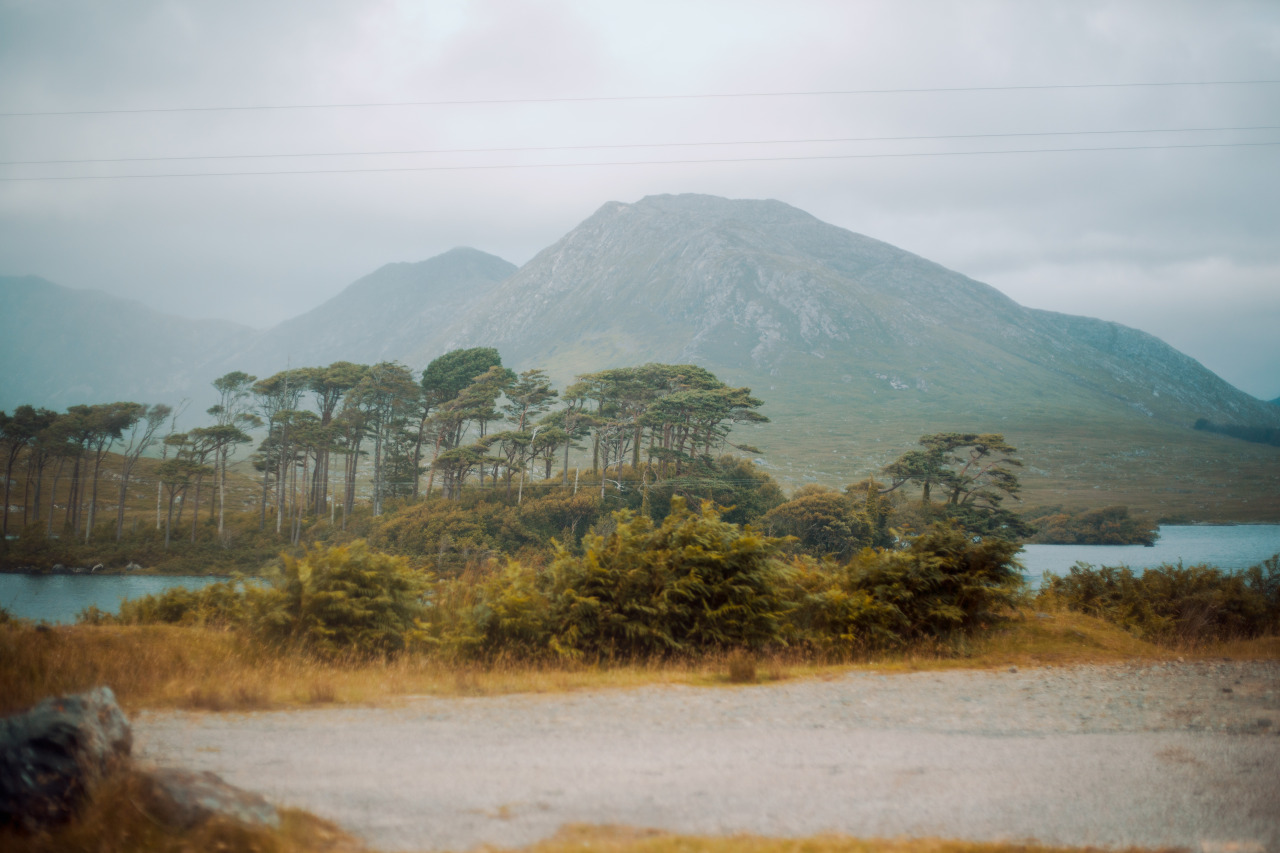 Archillect ID 404647