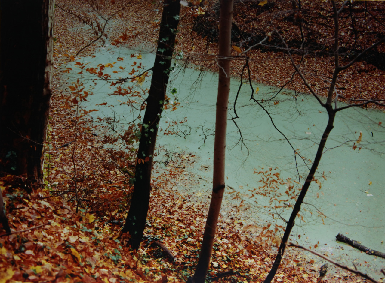 Archillect ID 404683