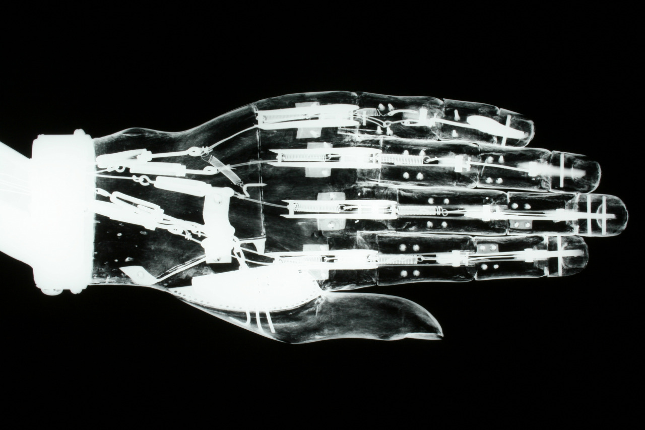 Archillect ID 404854