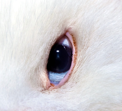 Archillect ID 404872