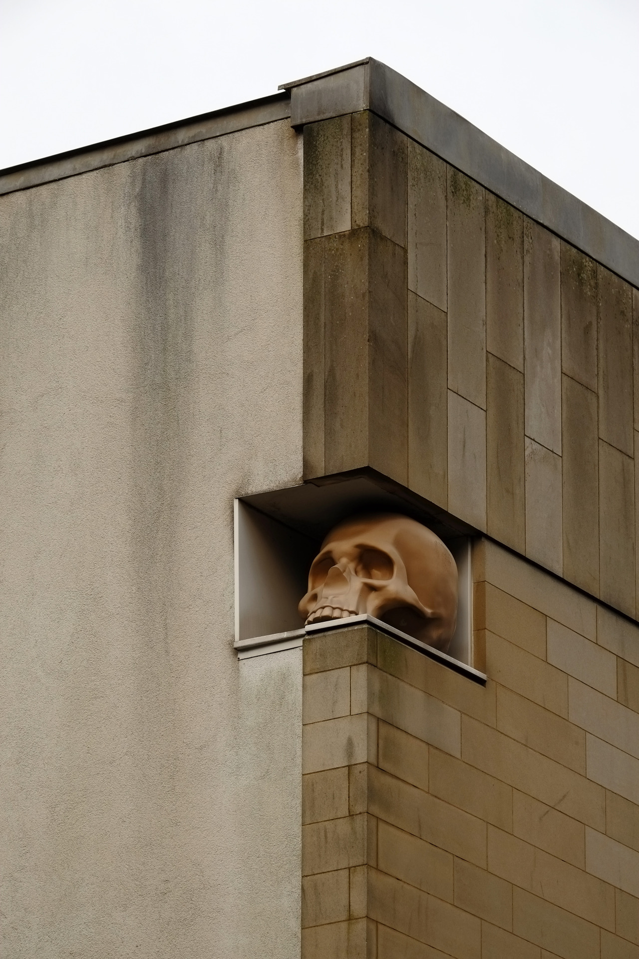 Archillect ID 404887