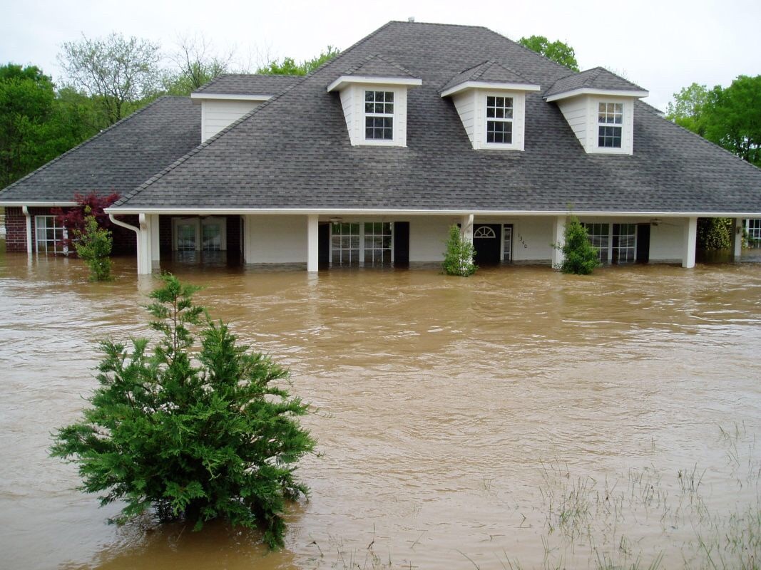 Archillect ID 404974