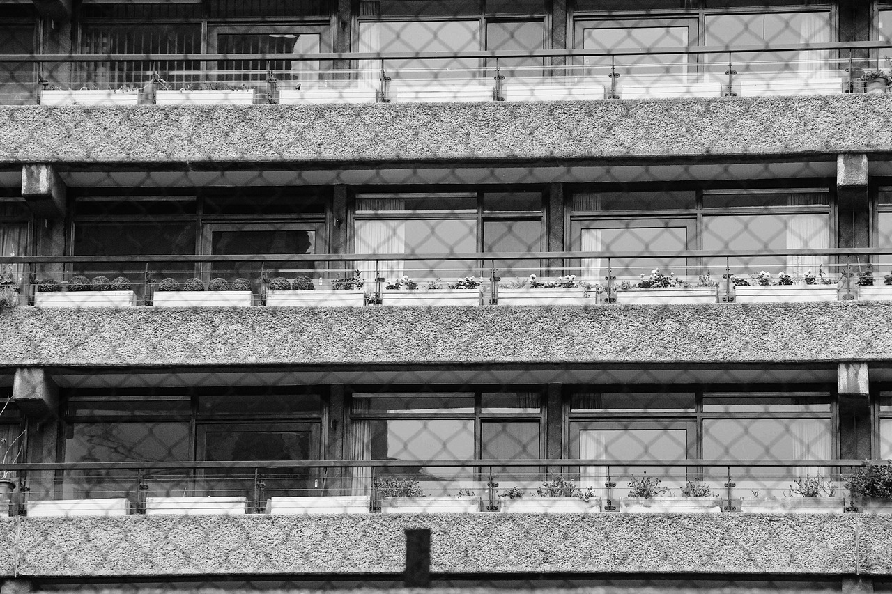 Archillect ID 404984