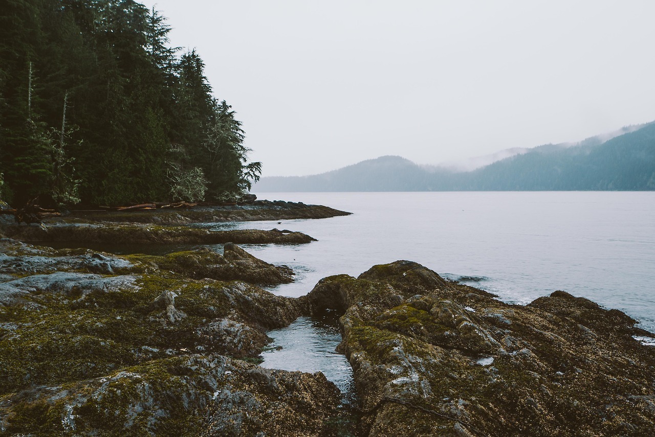 Archillect ID 405085