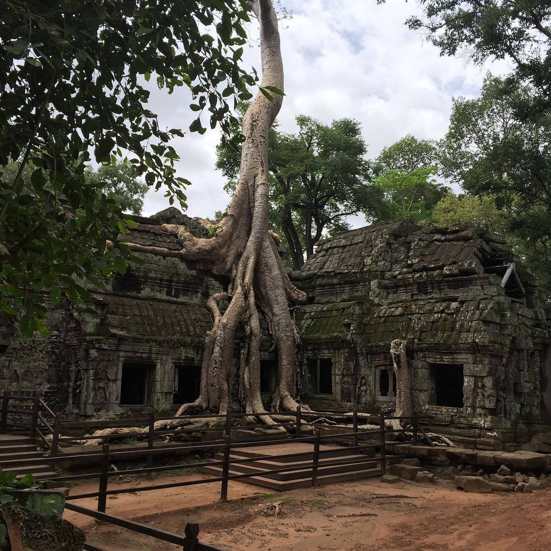 Archillect ID 405093