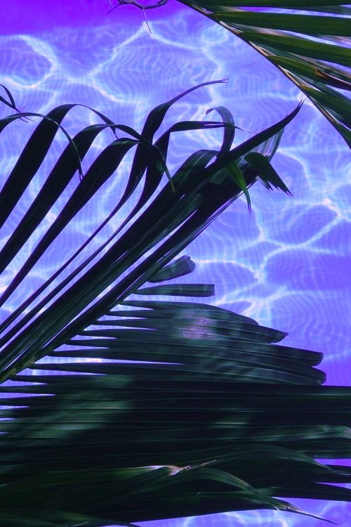 Archillect ID 405107