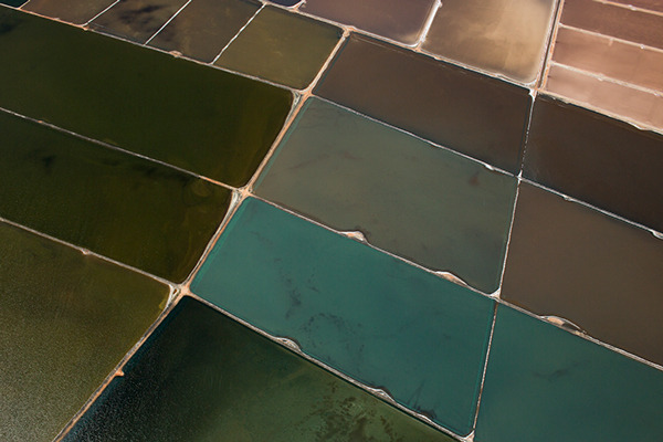 Archillect ID 405182