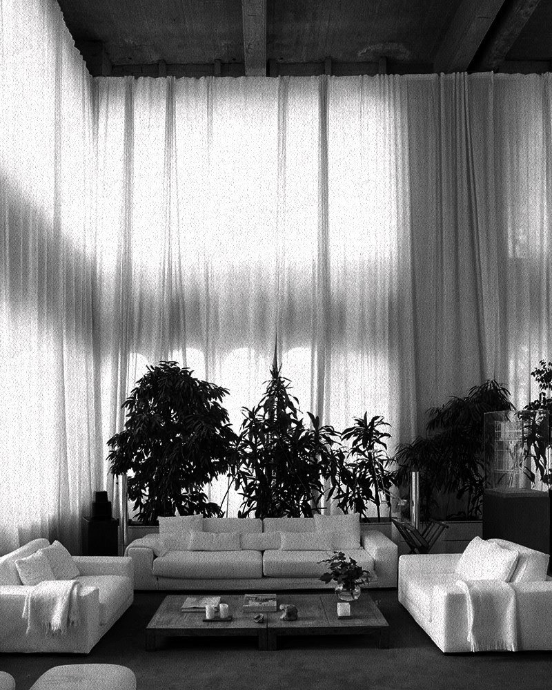 Archillect ID 405204