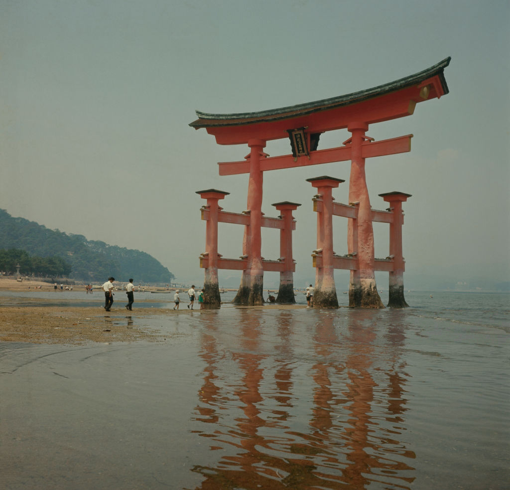 Archillect ID 405220