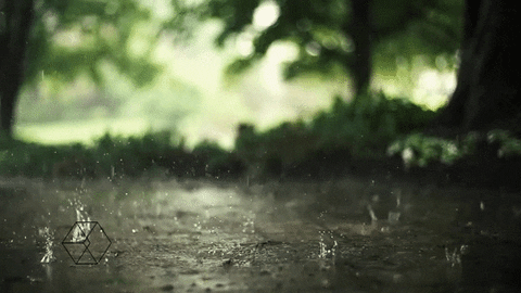 Archillect ID 405236