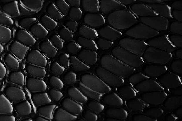 Archillect ID 405336