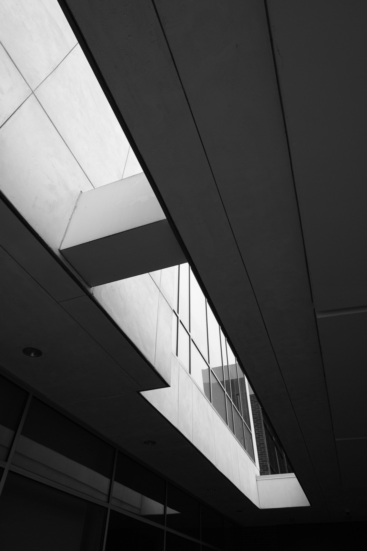 Archillect ID 405342