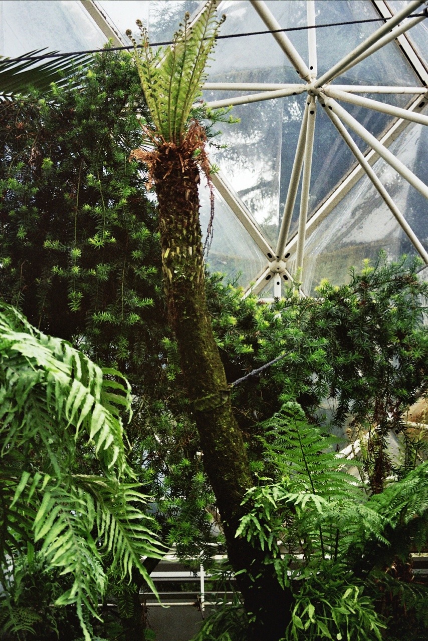 Archillect ID 405382