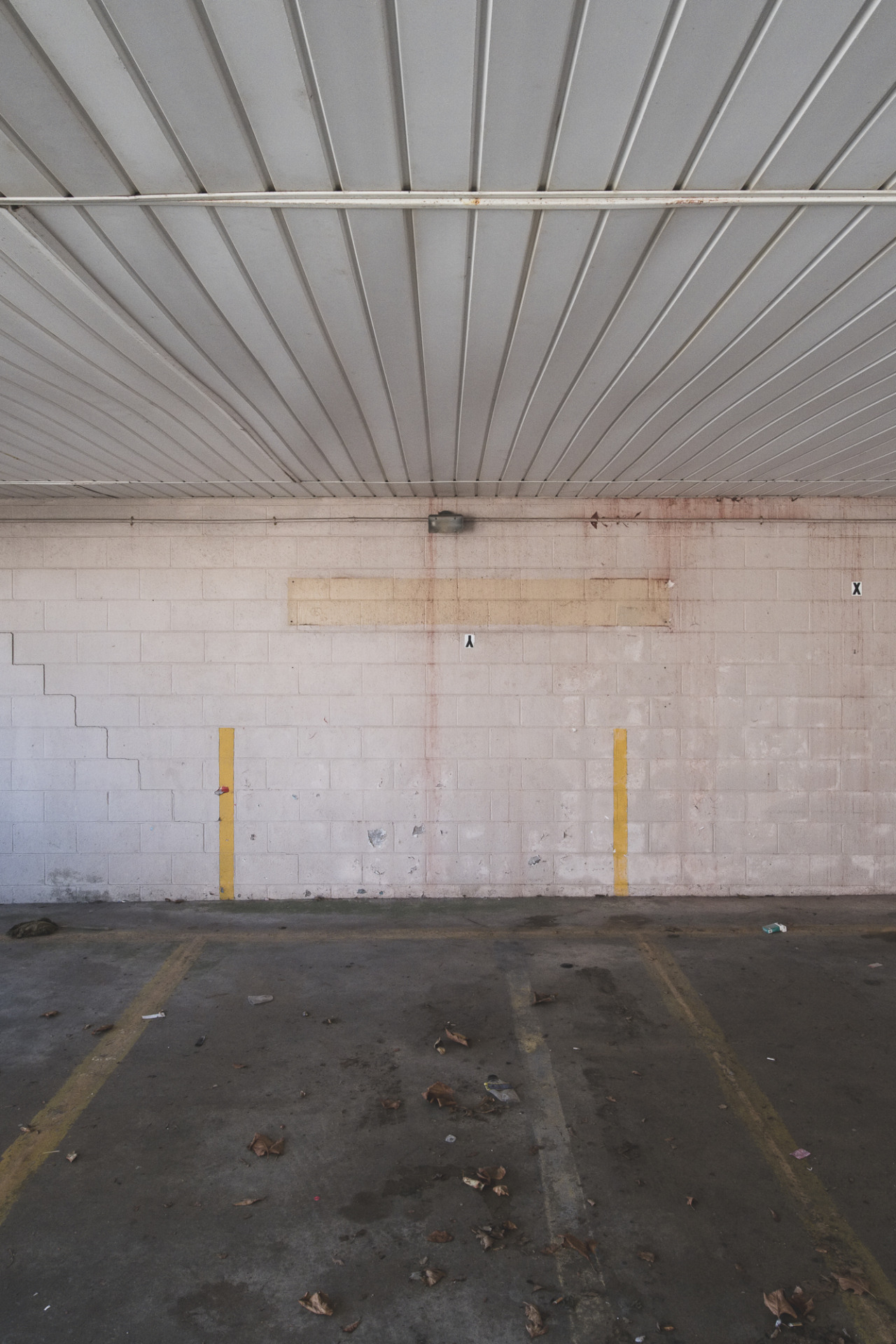 Archillect ID 405393