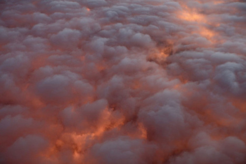 Archillect ID 405422