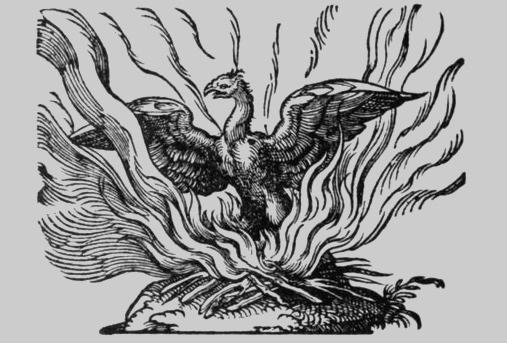 Archillect ID 405474