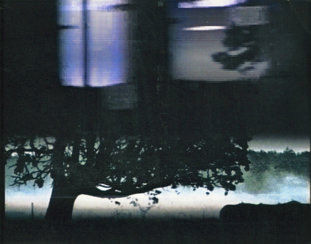 Archillect ID 405529