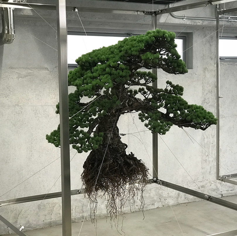 Archillect ID 405542