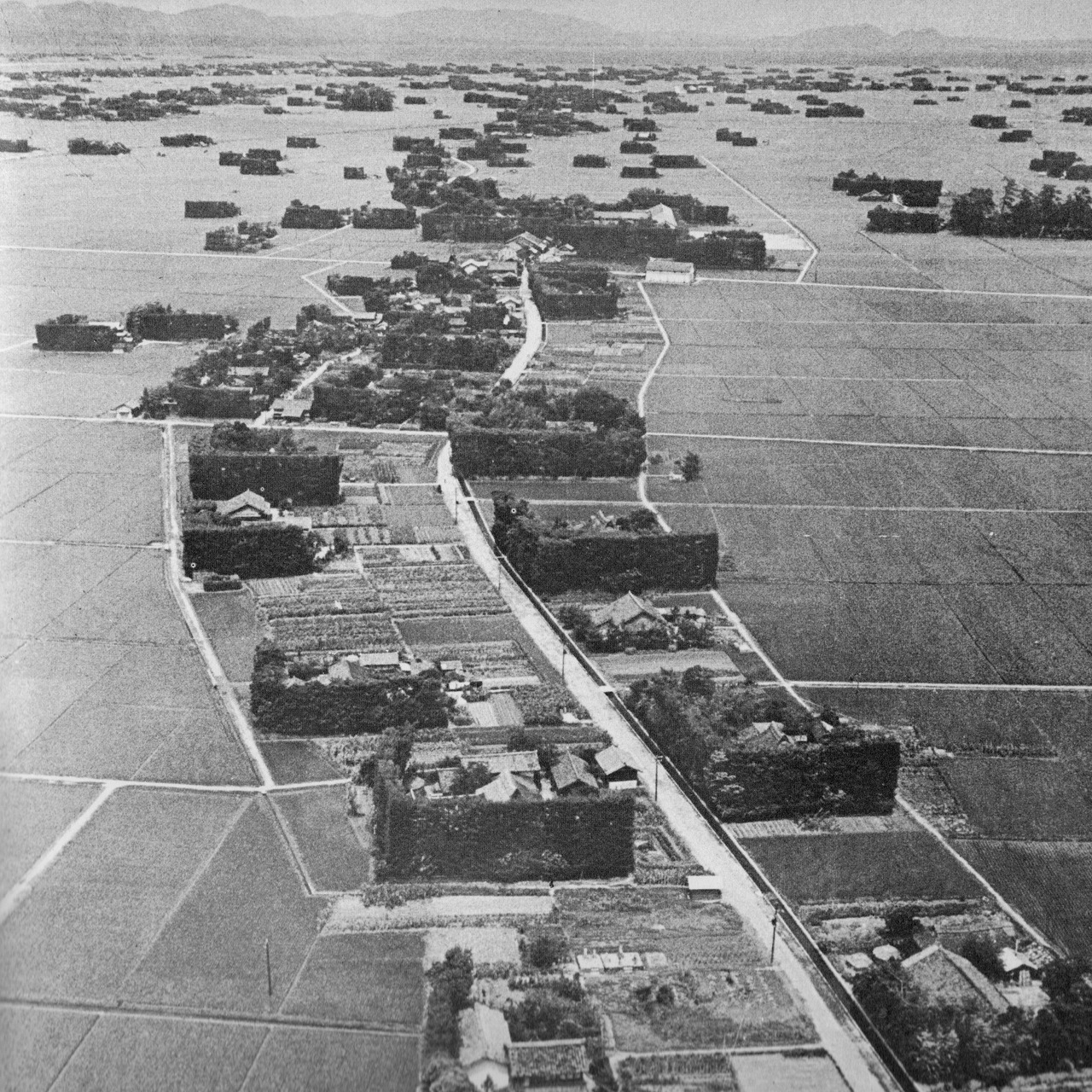 Archillect ID 405561