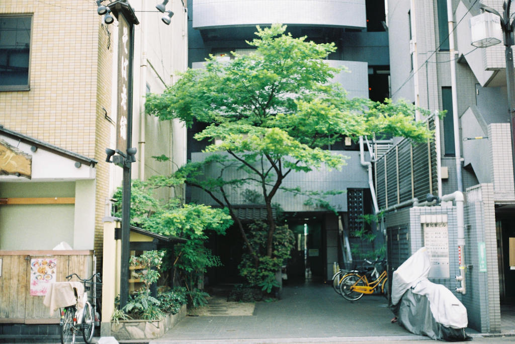 Archillect ID 405601