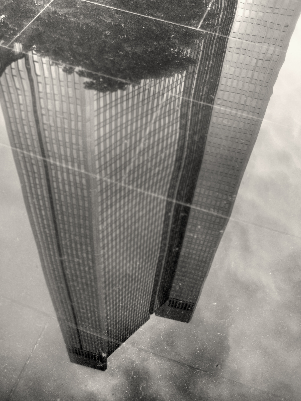 Archillect ID 405622