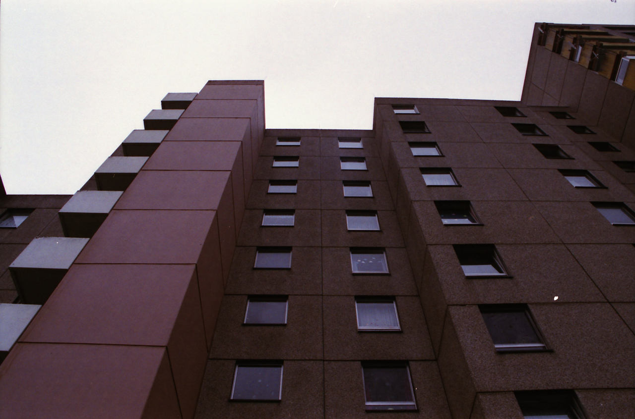 Archillect ID 405645