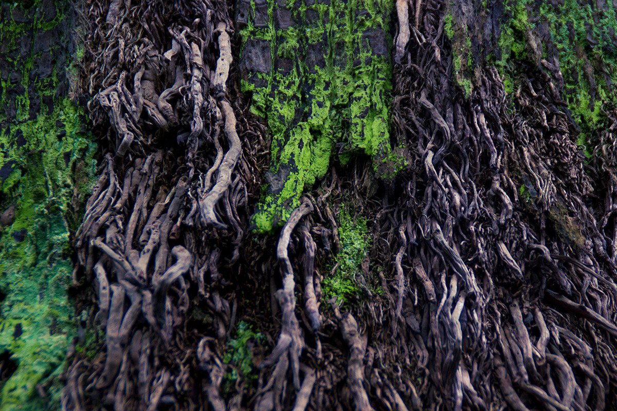 Archillect ID 405693