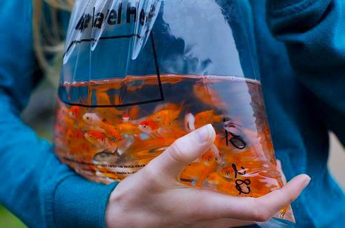 Archillect ID 405749