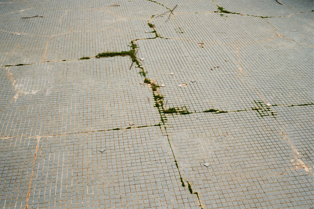 Archillect ID 405776