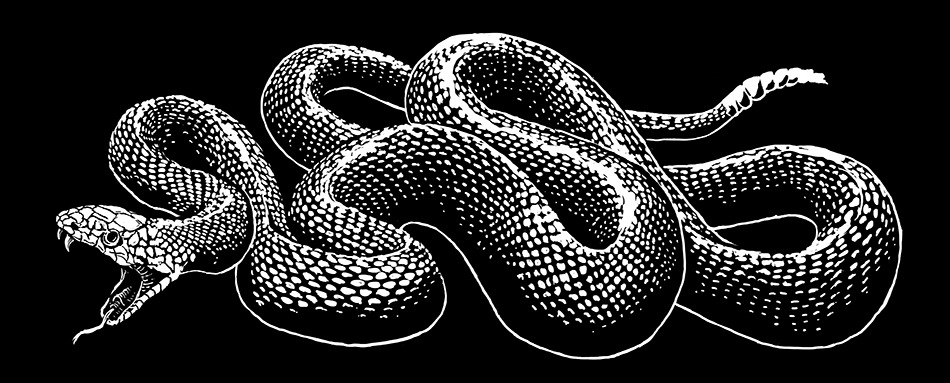 Archillect ID 405794