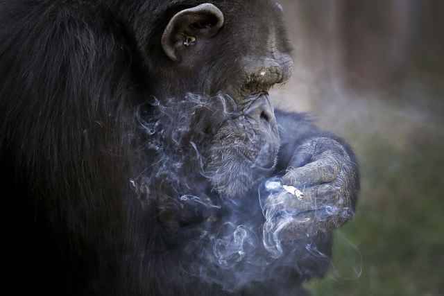 Archillect ID 405797