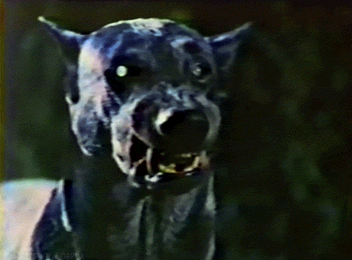 Archillect ID 405853